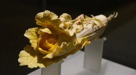 Hai năm sau, các nhà chuyên gia của bảo tàng Hà Nam đến ngôi làng mà ông lão sinh sống, ông đã đem "cây cải thảo" và "cây củ cải" của mình đến nhờ họ xem xét.