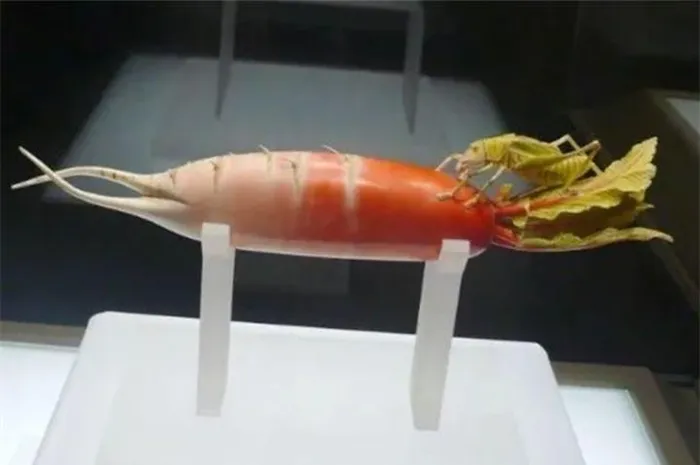 Ông rất nâng niu hai bảo vật này mặc dù không biết giá trị thực sự của chúng.