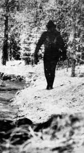 Mặc dù có nhiều bằng chứng được xem là có liên quan đến Bigfoot, nhưng đa phần đều bị đánh giá là không đủ cứng để chứng minh cho sự tồn tại của chúng.