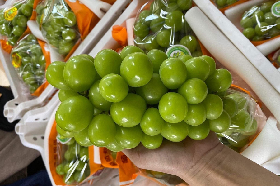 Giá cao hơn hàng Úc, nho Trung Quốc bán "đắt như tôm tươi" - Hình 2 Gia cao hon hang Uc, nho Trung Quoc ban