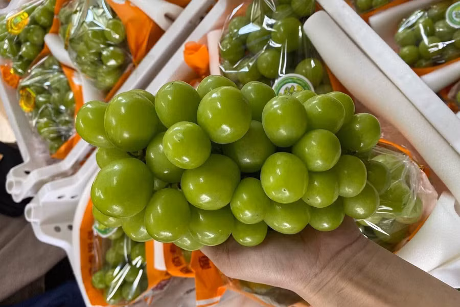 Gia cao hon hang Uc, nho Trung Quoc ban 