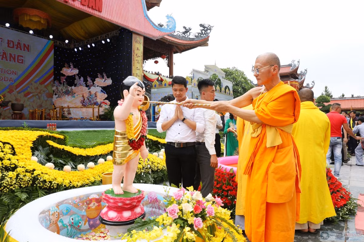 Lễ cầu nguyện và kính cung: Đến các chùa hoặc nơi tu học Phật giáo trong ngày này và tham gia vào các buổi lễ cầu nguyện và kính cung. Tạo dựng không gian yên tĩnh và cầu nguyện với tâm tình thành kính và biết ơn đối với Đức Phật và những điều giá trị mà Ngài đã mang đến cho cuộc sống chúng ta.