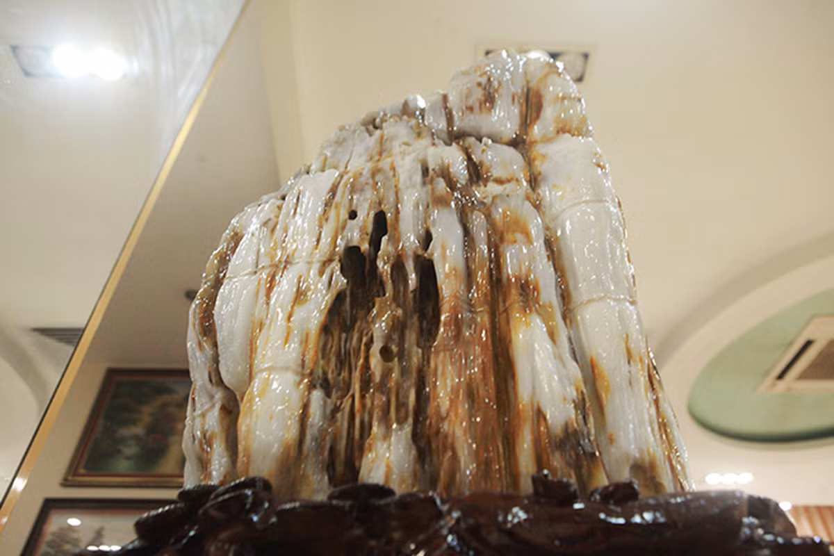 Quá trình gỗ hóa ngọc diễn ra trong suốt hàng triệu năm, khi các tạp chất và khoáng vật từ môi trường xung quanh thấm vào trong cấu trúc gỗ.