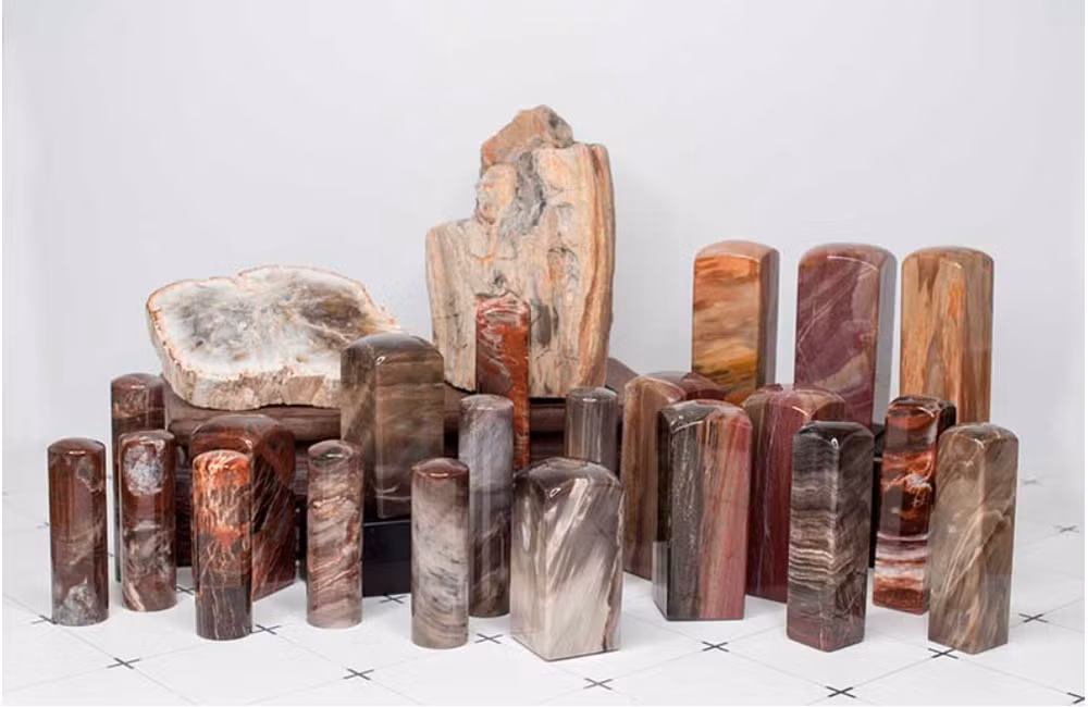 Theo các chuyên gia cổ sinh vật học, một thân cây hóa ngọc lớn như thế này là rất hiếm. Họ nhận định, cây gỗ hóa ngọc này có giá trị lên tới 55 tỷ kyat (tương đương hơn 600 tỷ đồng). Sau đó, "báu vật" này đã được đưa về trưng bày tại bảo tàng của tỉnh.