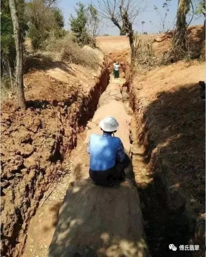 Mới đây, một người đàn ông ở làng Bibinsan, thị trấn Magway, thuộc tỉnh Magway ở Myanmar tình cờ tìm thấy cái cây khổng lồ trong lúc đào ruộng. (Ảnh: Sohu)