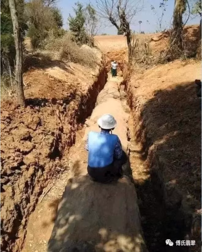 Mới đây, một người đàn ông ở làng Bibinsan, thị trấn Magway, thuộc tỉnh Magway ở Myanmar tình cờ tìm thấy cái cây khổng lồ trong lúc đào ruộng. (Ảnh: Sohu)