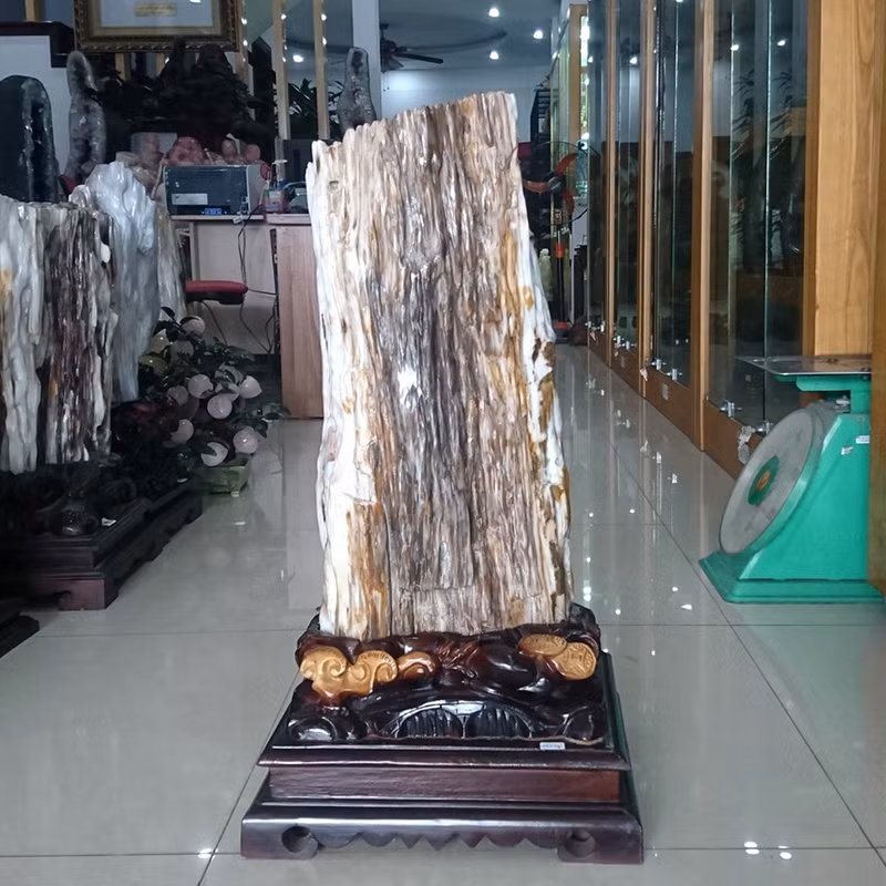 Hiện tượng gỗ hóa ngọc là một hiện tượng thiên nhiên độc đáo và kỳ diệu, khiến cho cây trở thành một tác phẩm nghệ thuật tự nhiên. Khi gỗ bị nhiễm tạp chất và khoáng vật từ lòng đất, nó có thể chuyển đổi thành ngọc tự nhiên, tạo ra một hiện tượng gọi là gỗ hóa ngọc.