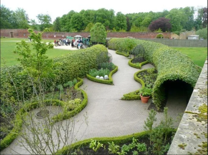 Tuy nhiên, điều đặc biệt làm cho khu vườn này trở nên kỳ lạ và đáng sợ là những loại cây cối độc hại có trong nó, chỉ cần chạm vào 1 chiếc lá là có thể dẫn đến tử vong.