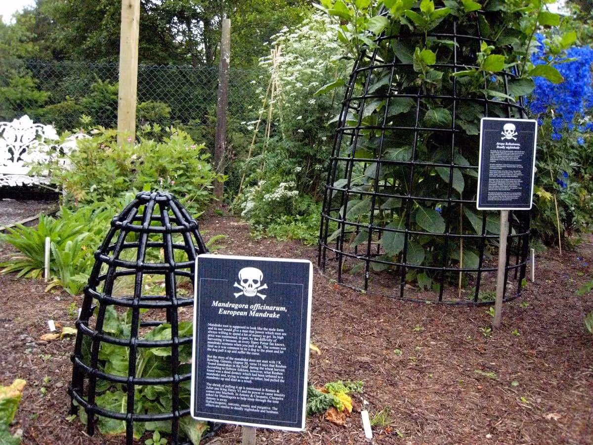 Vì có nhiều loại cây nguy hiểm như vậy nên một số loại được lưu giữ vĩnh viễn trong lồng. Toàn bộ khu vườn được bảo vệ và canh gác 24 giờ.