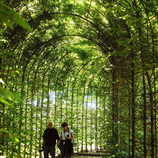 Nếu bạn có ý định chạm vào bất kỳ loại cây cối nào, họ sẽ đảm bảo bạn đã được trang bị đầy đủ bảo vệ và đưa ra các hướng dẫn cần thiết. Và nếu bạn muốn trải nghiệm thú vị hơn, bạn có thể tham gia vào các lớp học làm vườn để tìm hiểu thêm về các loại cây cối này và cách trồng chúng.