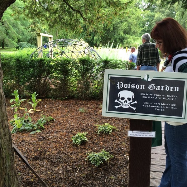 Ông Jones, người quản lý khu vườn cảnh báo du khách cần tránh xa cây dương kim hoa - loài cây có thể khiến bạn rơi vào giấc ngủ vĩnh viễn.