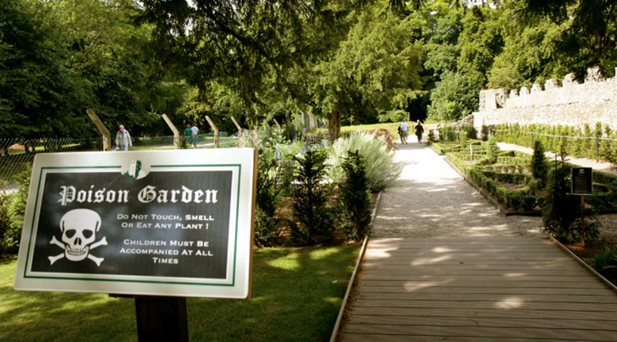 Tại khu vườn Alnwick, du khách có thể thấy rất nhiều loại cây cối độc hại như cây thiên niên kỷ (yew), cây nhọ nồi (castor oil), cây độc địa phương Angel's Trumpet (datura) và cây núi đá quý (laburnum).