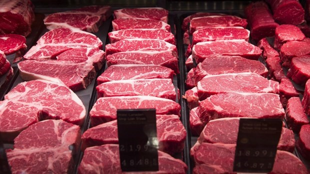 My phat hien mot truong hop mac benh bo dien tai nha may giet mo