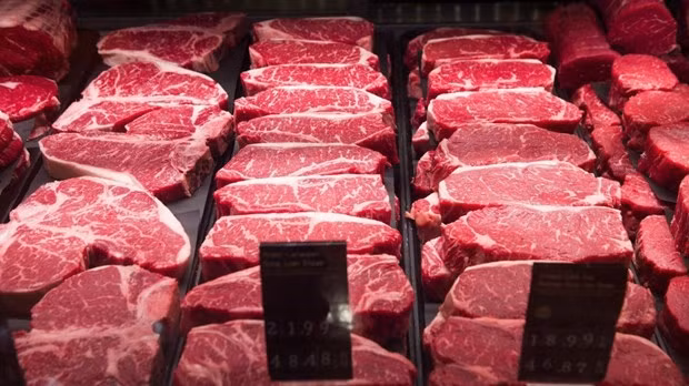 My phat hien mot truong hop mac benh bo dien tai nha may giet mo