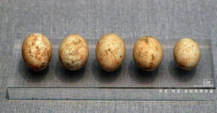 Những mộ cổ trung quốc được khai quật từ xa xưa đã giúp cho các nhà khảo cổ học hiểu được nhiều về lịch sử và văn hóa của Trung Quốc.