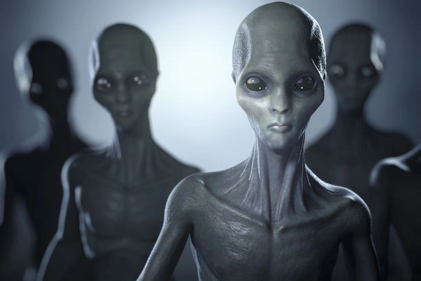 Môi trường, điều kiện sinh sống và quá trình tiến hóa trên hành tinh khác có thể tạo ra các hệ thống giới tính đa dạng.