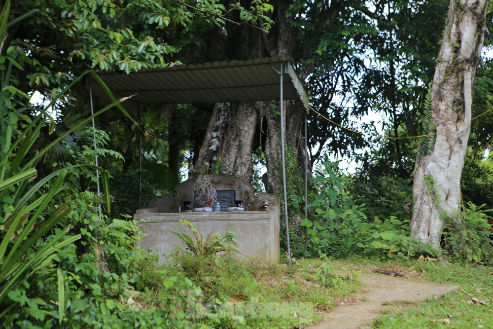 Ngày nay cứ vào dịp lễ Tết, ngoài thắp hương ở đền thờ, người dân còn thắp hương xung quanh gốc cây thị. (Ảnh: Tiền phong)