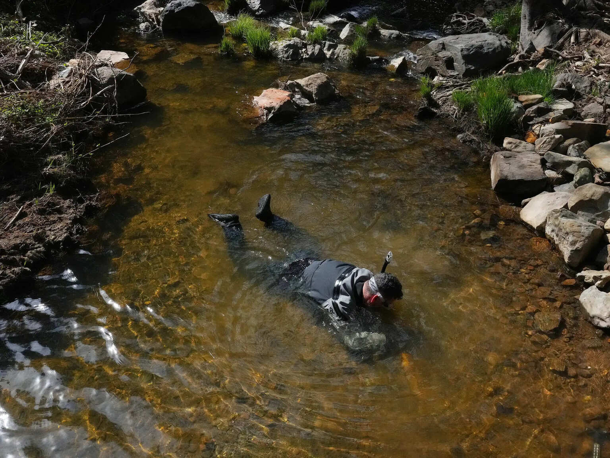 Mới đây, cơn sốt "săn vàng" đã trờ lại sau đợt mưa lớn kỷ lục mùa đông ở California vừa qua. Điều này đã mang nước chảy qua các dòng sông và suối trên núi.