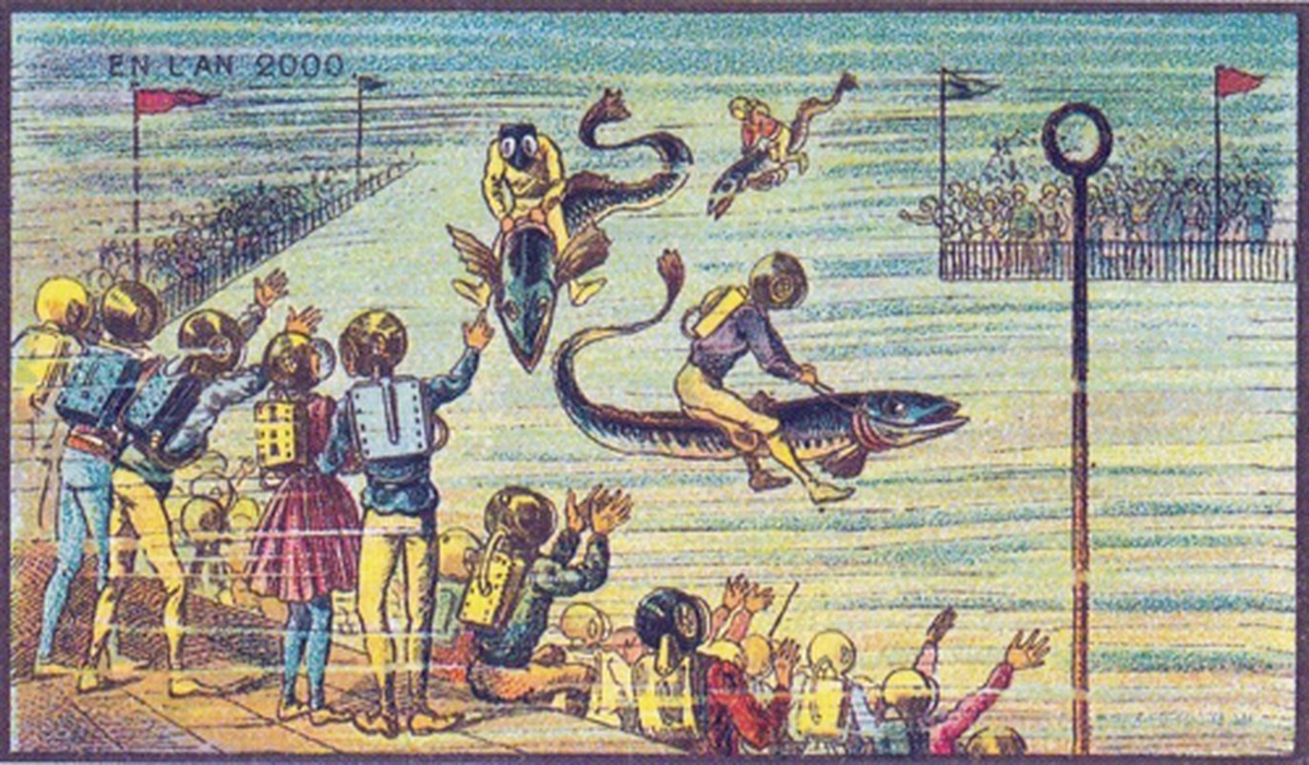 7. Cuộc đua cá dưới đáy biển hấp dẫn mọi người.