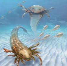 Eurypterid là một trong những động vật thú vị nhất trong hệ sinh thái thời kỳ Silurian. Chúng có khả năng di chuyển trên đáy biển, hoặc nổi trên mặt nước.