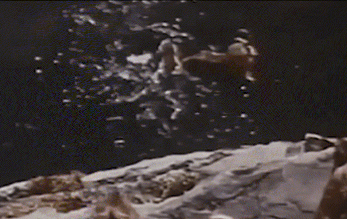 Tân Cương có môi trường sinh thái với khả năng phục hồi kém. Bên cạnh đó, vào thời điểm đó, người dân địa phương đã phá rừng, phá hủy rất nhiều đồng cỏ và biến chúng thành đất canh tác để trồng trọt khiến cho môi trường sống của sóc chuột Chinchilla bị suy giảm.