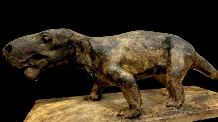 Mặc dù đã tuyệt chủng hàng triệu năm trước, sự nghiên cứu về Inostrancevia đã giúp chúng ta có cái nhìn sâu sắc hơn về sự phát triển và tiến hóa của các loài sinh vật tiền sử.