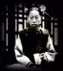 Cho đến khi cách mạng Tân Hợi bùng nổ, Long Dụ cũng thấy rõ tình hình trước mắt, nên đã thay mặt Phổ Nghi ký hiệp ước thoái vị vào năm 1912, về cơ bản chấm dứt triều đại nhà Thanh cũng như là đặt dấu chấm hết cho chế độ quân chủ hơn nghìn năm của lịch sử Trung Quốc.