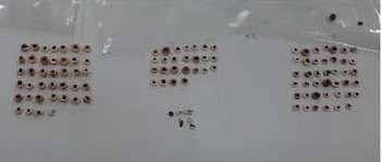 Các hạt trang sức này có thể đến từ các món đồ như dây chuyền hoặc chuỗi vòng tay, nhưng vật liệu nối chúng đã bị đứt.