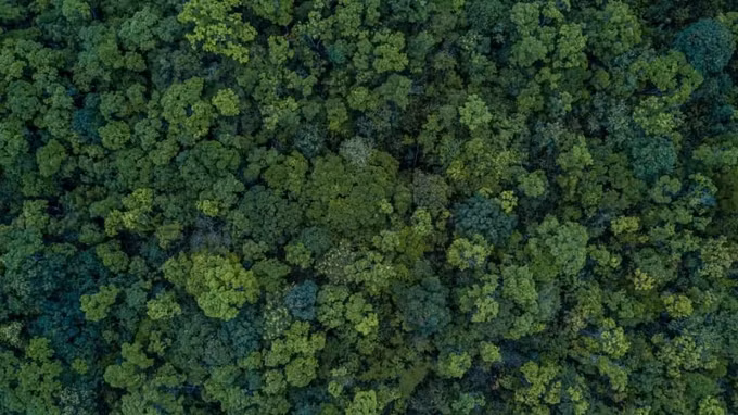 Tuy nhiên, các nhà khoa học và nhà nghiên cứu đang cố gắng tìm hiểu và đưa ra những suy luận về tương lai của hành tinh này nếu một ngày không xa nữa, con người sẽ biến mất.