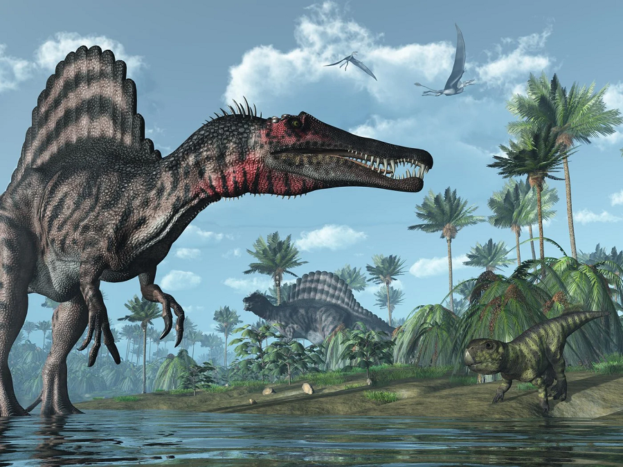 Một số loài khủng long khác như Spinosaurus và Giganotosaurus có kích thước lớn hơn nhiều. Sự đa dạng của thế giới khủng long đã khám phá ra nhiều loài khủng long khổng lồ khác với ngoại hình và cấu trúc khác biệt.