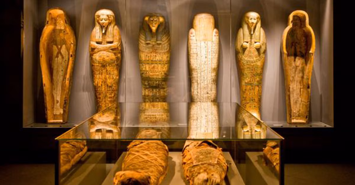 Điều gây chấn động ở đây là dù trái tim 2.500 năm này đã khô quắt như "thịt bò khô" nhưng nó vẫn có thể đập như máy điều hòa nhịp tim. Sau khi đo lường, các bác sĩ đếm được 80 nhịp/phút. (Ảnh: TCT)