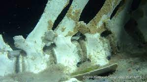 Bằng cách sử dụng công nghệ tiên tiến và các thiết bị định vị dưới nước, nhóm đã thu thập được những thước phim độc đáo và ấn tượng về nghĩa địa cá voi ở độ sâu 945m ngoài khơi Bán đảo Tây Nam Cực.