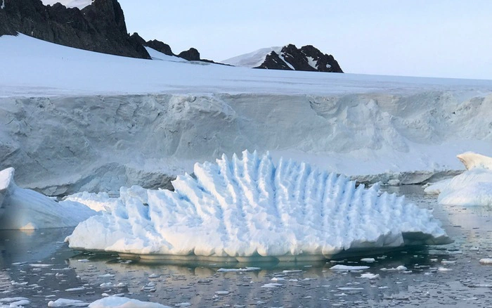 Chuyên gia người Đan Mạch cho biết bột đá đã tích tụ ở Greenland trong khoảng 8.000 năm, đủ để trải lên tất cả diện tích đất nông nghiệp trên Trái Đất.