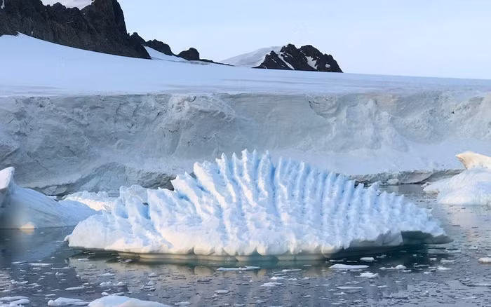 Chuyên gia người Đan Mạch cho biết bột đá đã tích tụ ở Greenland trong khoảng 8.000 năm, đủ để trải lên tất cả diện tích đất nông nghiệp trên Trái Đất.