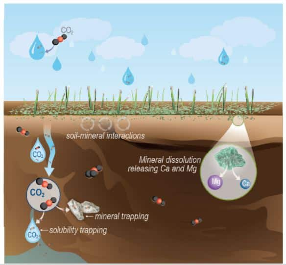 Phong hóa đá tăng cường (Enhanced Rock Weathering - ERW) là một kỹ thuật phát triển nhằm giảm lượng khí CO2 trong khí quyển bằng cách tăng cường quá trình hòa tan CO2 vào đá.