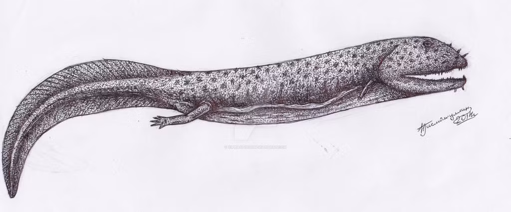 Mặc dù đã biến mất hàng triệu năm trước, Crassigyrinus scoticus tiếp tục mang đến những kiến thức quý giá về sự đa dạng sinh học và sự phát triển của các loài động vật.