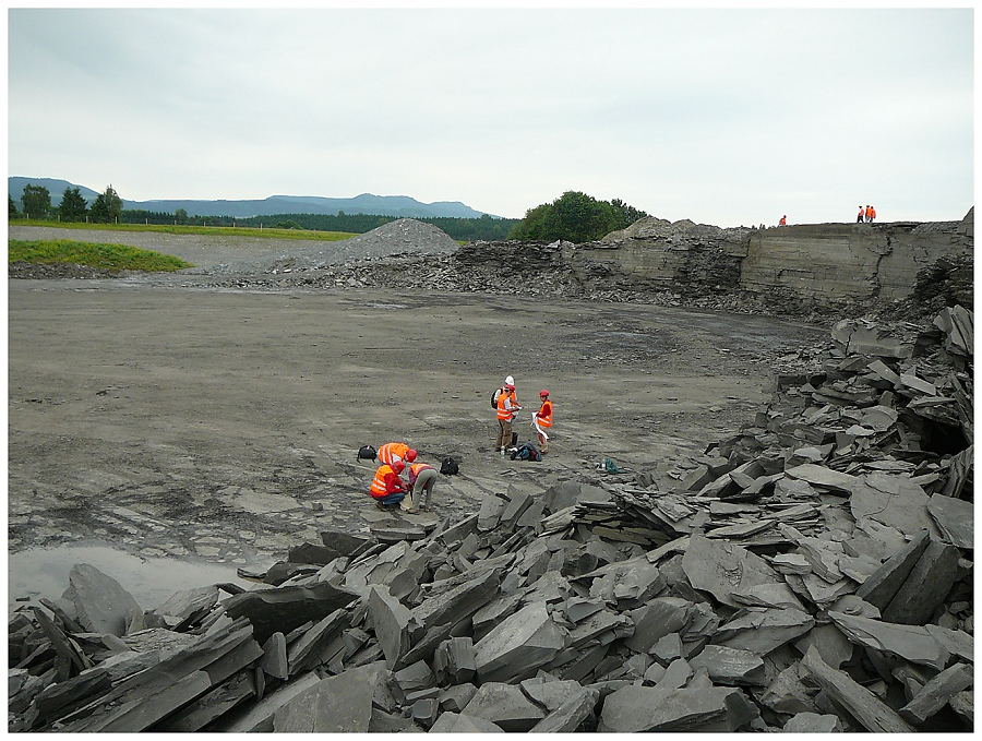 Tuy nhiên, Posidonia Shale vẫn là một địa điểm đáng khám phá và tìm hiểu. Việc nghiên cứu và bảo tồn các mẫu hóa thạch ở đây có thể giúp chúng ta hiểu rõ hơn về sự tiến hóa của các loài sinh vật trên Trái đất và tạo ra những kiến thức mới cho khoa học và nghệ thuật.