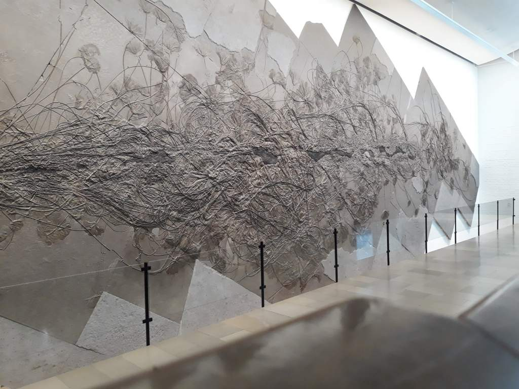 Việc khai thác có thể ảnh hưởng đến môi trường và cộng đồng địa phương, và có nguy cơ làm mất đi một di sản văn hóa và khoa học quan trọng.