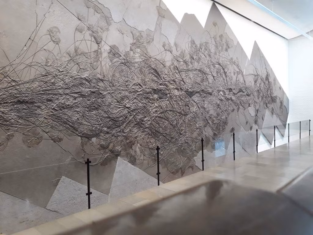 Việc khai thác có thể ảnh hưởng đến môi trường và cộng đồng địa phương, và có nguy cơ làm mất đi một di sản văn hóa và khoa học quan trọng.