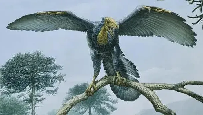 6. Archaeopteryx là một loài chim tiền sử sống trong thời kỳ Jura. Nó được xem là một trong những loài chim sớm nhất được biết đến. Archaeopteryx có cấu trúc xương và bộ lông tương tự như chim hiện đại, nhưng còn giữ lại một số đặc điểm của các loài khủng long.