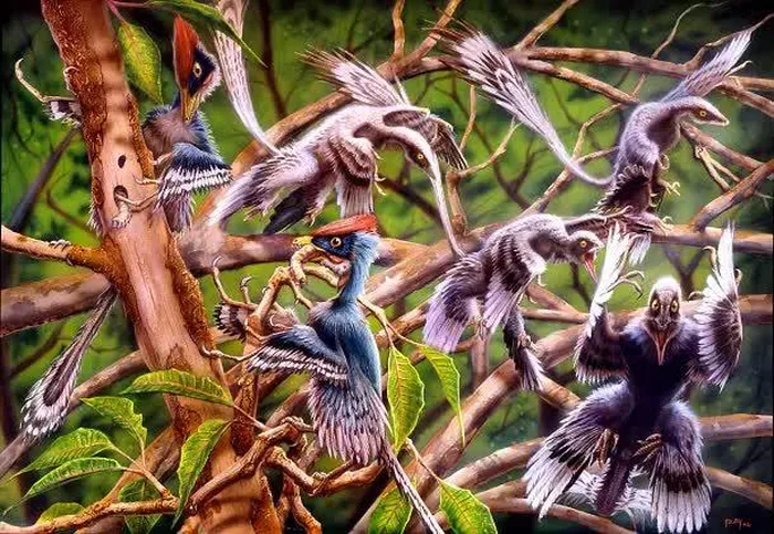 9. Epidendrosaurus là một loài khủng long nhỏ sống trong thời kỳ Jura. Với kích thước nhỏ và chiều dài khoảng 70 cm, nó có cấu trúc giống chim với mỏ nhọn và cánh dài. Epidendrosaurus được coi là một trong những bằng chứng sớm nhất về khủng long có khả năng bay.