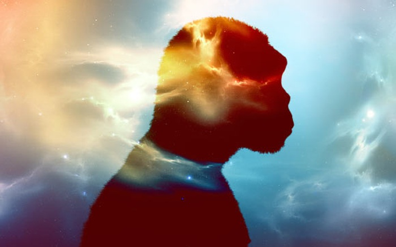 Tuy nhiên, giữa các loài này cũng có những sự khác biệt ở mức độ di truyền.