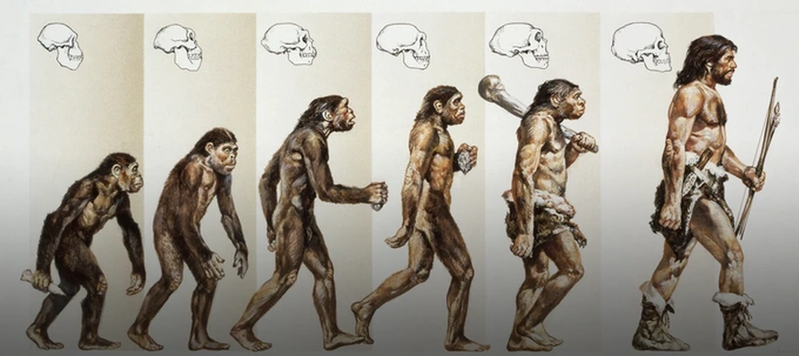 Đây là bằng chứng sống cho thấy sự hiện diện của DNA từ một " loài người ma" cổ xưa, đã tách khỏi dòng dõi chung với Homo sapiens từ lâu, mang nhiều khác biệt về mặt hình thái.