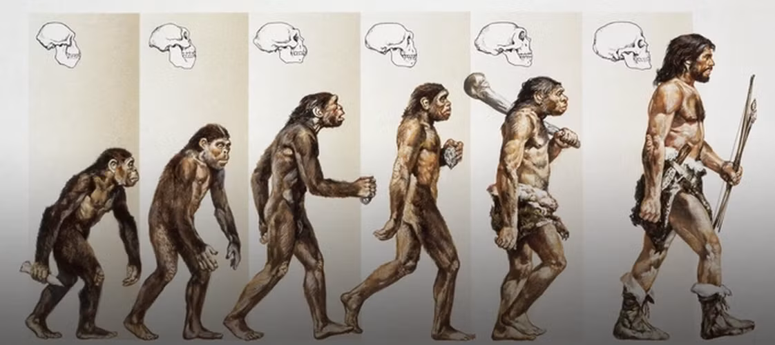 Đây là bằng chứng sống cho thấy sự hiện diện của DNA từ một " loài người ma" cổ xưa, đã tách khỏi dòng dõi chung với Homo sapiens từ lâu, mang nhiều khác biệt về mặt hình thái.