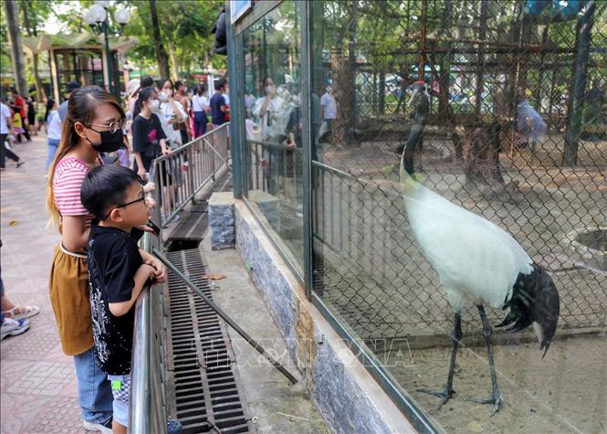 Các chuồng thú luôn thu hút đông đảo khách tham quan.