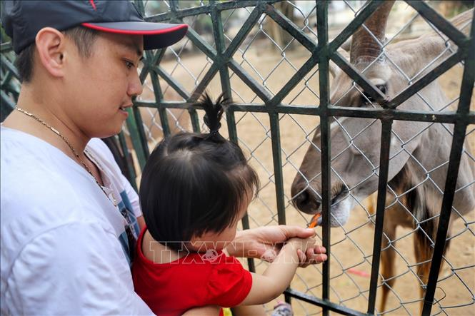 Các em nhỏ trải nghiệm cho thú ăn.