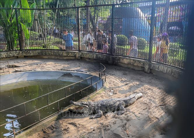 Các chuồng thú luôn thu hút đông đảo khách tham quan.