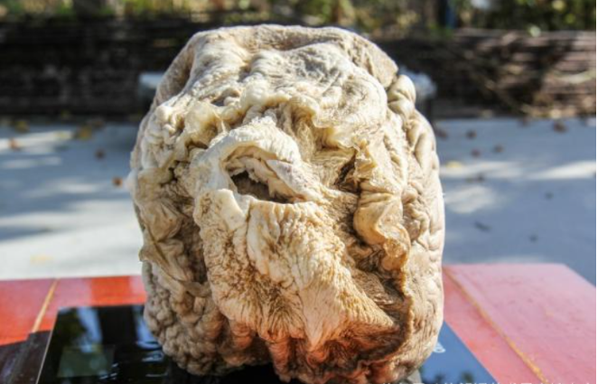 Tảng đá vỏ ngoài cứng nhưng bên trong lại mềm và xốp cứ như bông, bề mặt của tảng đá rất bóng và có nhiều nếp nhăn.