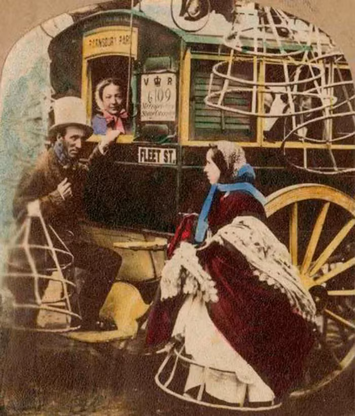 Tuy nhiên, Crinoline cũng mang theo những hạn chế và rủi ro. Vì khung xương thép bên trong váy, phụ nữ phải đối mặt với việc di chuyển cồng kềnh và không thoải mái.