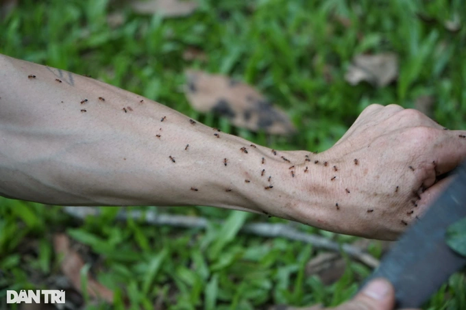Nghe la o vung cao nhieu nguoi so, kiem tien trieu moi ngay-Hinh-6